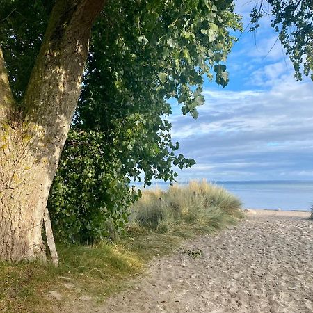 Feriendorf Suedstrand Haus 49 Pelzerhaken Buitenkant foto