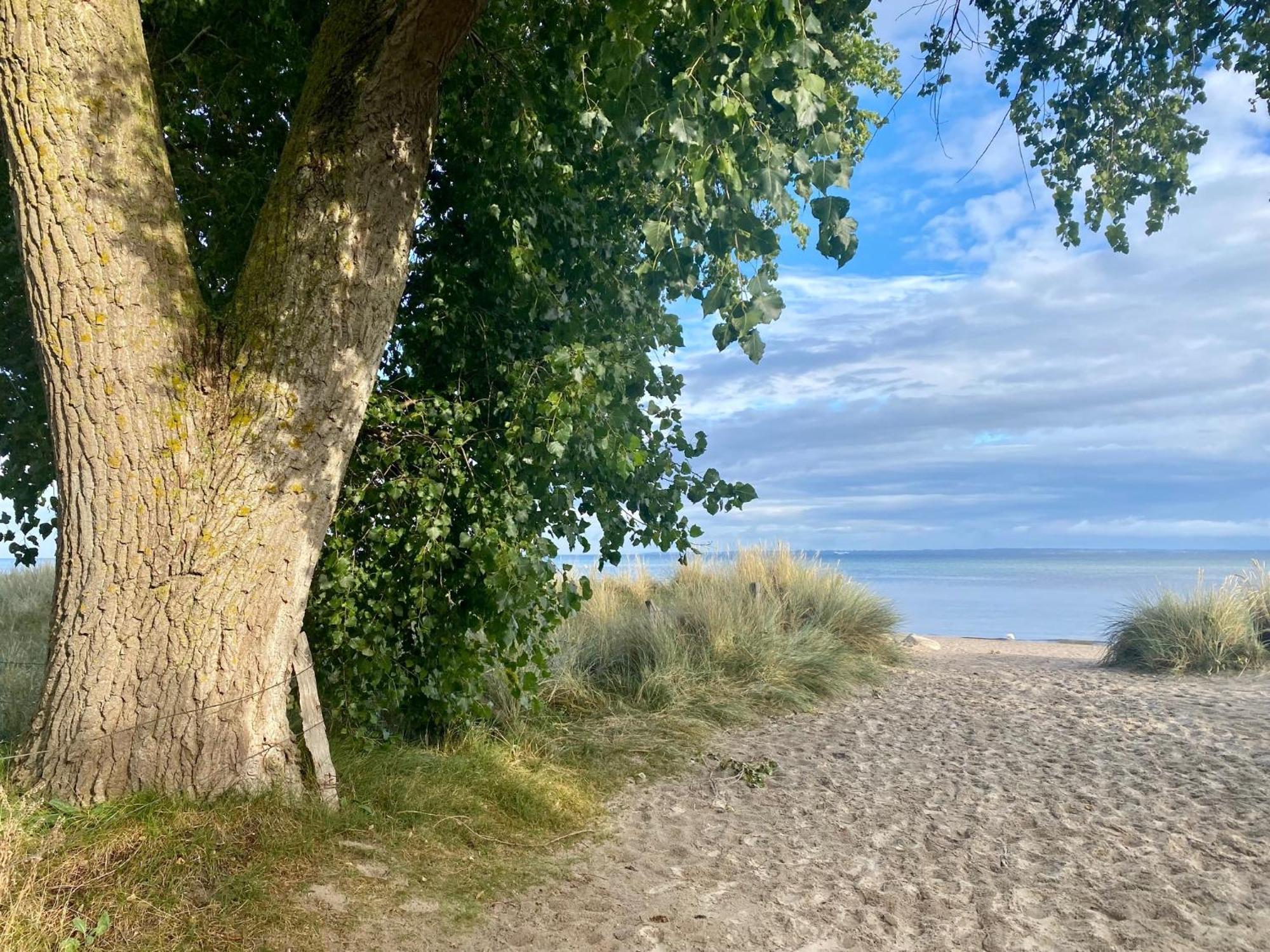 Feriendorf Suedstrand Haus 49 Pelzerhaken Buitenkant foto